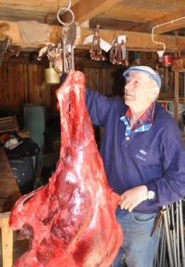 22fb9-elgjeger20og20kjot