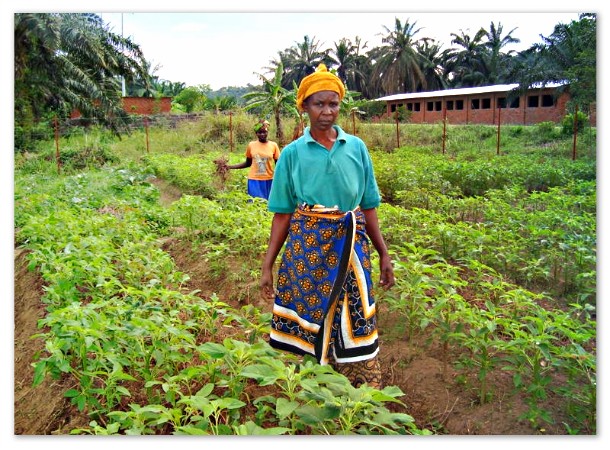 Bonde utviklingsland