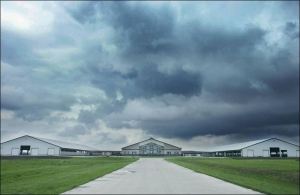 Big-dairy-farm